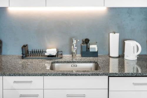 a kitchen counter with a sink and paper towels at BASEKAMP Horizon I Luzern I Familie I Pilatus in Lucerne