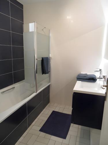 a bathroom with a shower and a sink at Chambres Du Bois Des Hâtes in Saint-Avertin