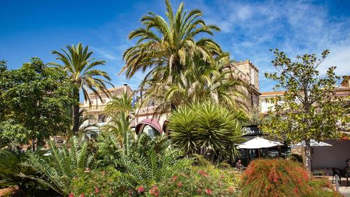 a group of palm trees and plants in front of a building at Camping Tikayan Beau Séjour in Le Lavandou