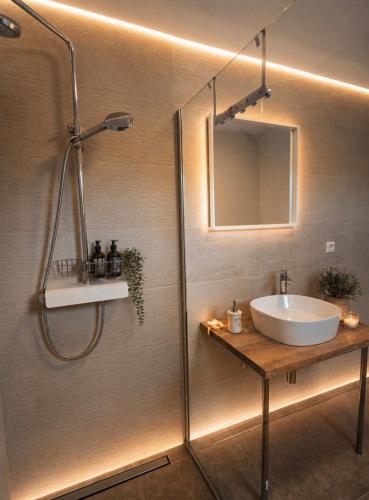 a bathroom with a shower with a sink and a mirror at Villa Heaven Green in Pazin