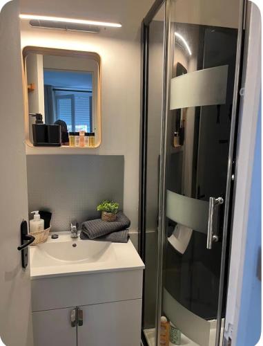 un piccolo bagno con lavandino e doccia di 2 pièces cocooning a Le Havre