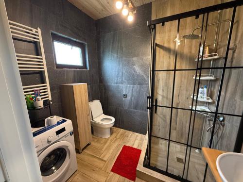 a bathroom with a washing machine and a toilet at Tsemi Aura in Tsemi