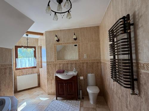 a bathroom with a sink and a toilet and a mirror at Pokoje Ella in Jelenia Góra
