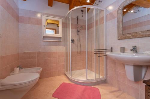 a bathroom with a shower and a toilet and a sink at El Feral - Mansarda in Selva di Cadore