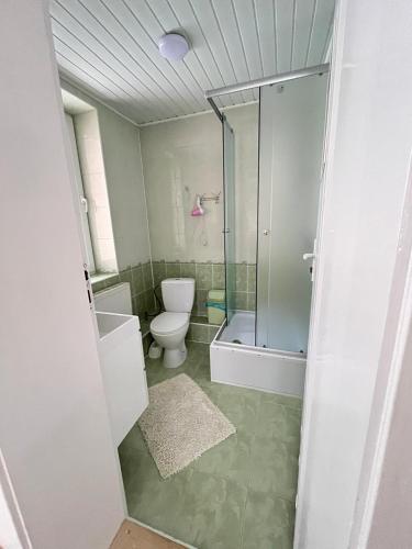 a bathroom with a toilet and a glass shower at Vivat in Solochyn