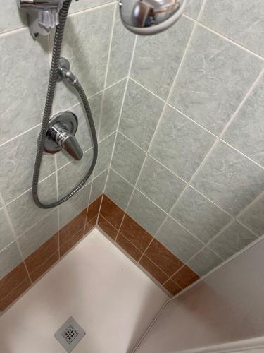 a shower with a shower head in a bathroom at Dimora Dafne in Policoro