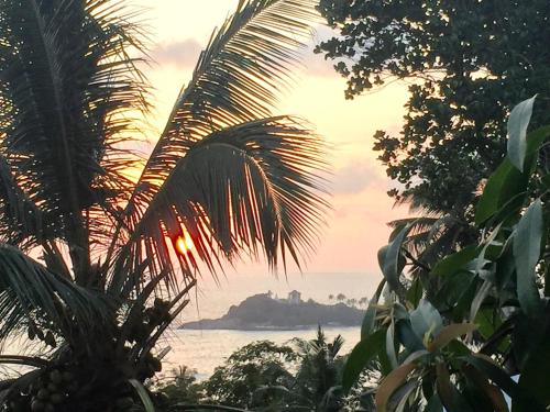 a palm tree with the ocean in the background at Lara's place in Unawatuna