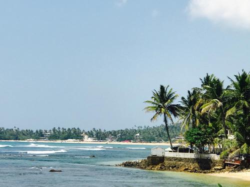 a beach with palm trees and the ocean at Lara's place in Unawatuna