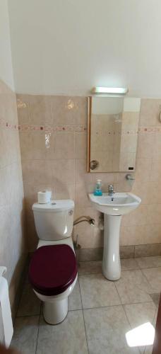 a bathroom with a toilet and a sink at Plaka Apartments in Fournoi