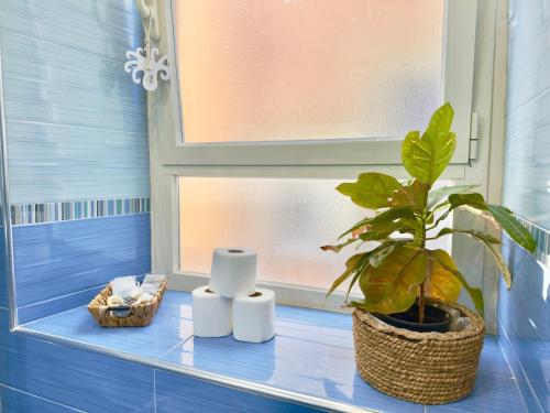 a plant sitting on a shelf next to a window at VICO 11 Gaeta - UN LETTO IDEALE in Gaeta