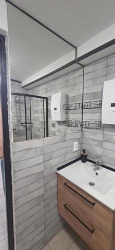 a bathroom with a sink and a mirror at Apartament Nova Kamienica - Studio in Łagów