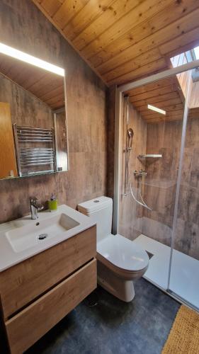 a bathroom with a toilet and a sink and a shower at Chalet Lu Verzache 5 personnes in Evolène