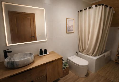 a bathroom with a sink and a toilet and a mirror at VILLA PANGEA - Guest House - Camino del Norte in Castro-Urdiales