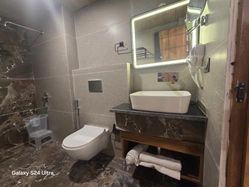 a bathroom with a sink and a toilet and a mirror at Hotel Royal Badri - A Pilgrim's Habitat in Badrinath