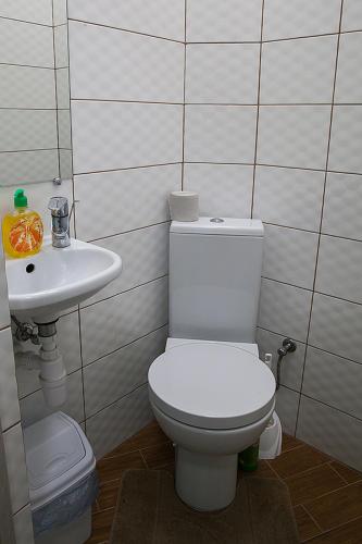 リヴィウにあるApartment Hnatyuka15のバスルーム(トイレ、洗面台付)