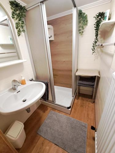 a bathroom with a shower and a sink at Sauschneidhof - Radstadt in Radstadt