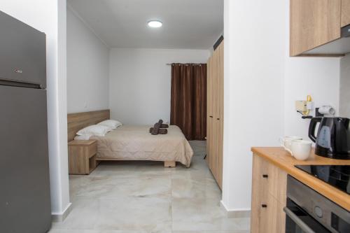 Marina studios faliraki