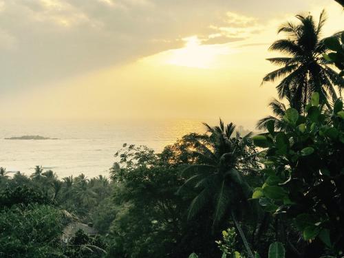 a view of the ocean from a jungle with palm trees at Lara's place in Unawatuna