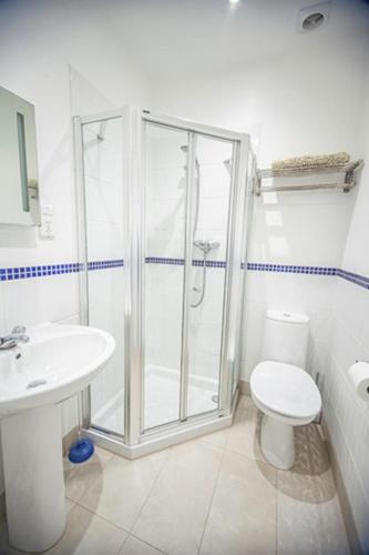 a bathroom with a shower and a toilet and a sink at Hartland Heights in Woolacombe