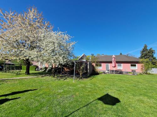 a yard with a tree and a house at Ferienhaus Ruth in Walow