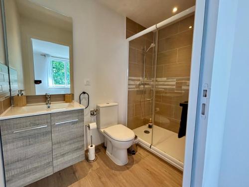 a bathroom with a toilet and a sink and a shower at La Boierie - City Appart's in La Flèche