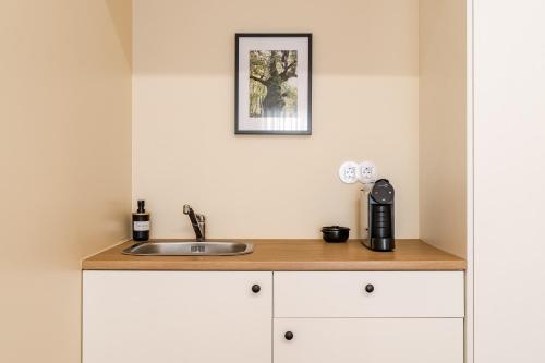 a kitchen with a sink and a picture on the wall at Casa Da Avó Custódia in Campo do Gerês