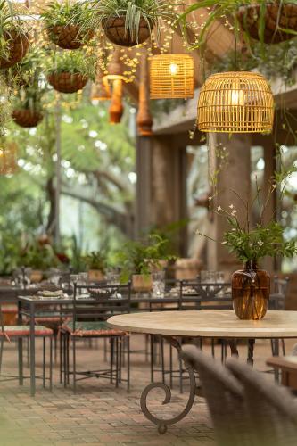 a table with a potted plant on it in a building at The Fernery Lodge & Spa in Stormsrivier