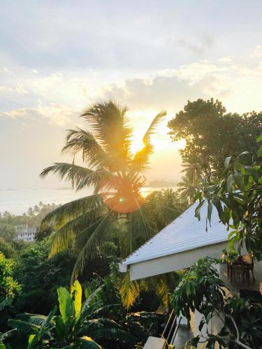 a palm tree in front of a house with the sunset at Lara's place in Unawatuna