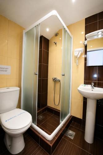 a bathroom with a shower and a toilet and a sink at Livija rooms in Petrovec