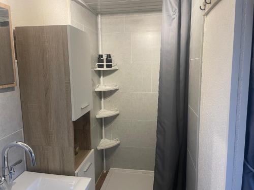 a bathroom with a shower with a sink and a toilet at Enigma Lounge Chalet with swimming pool in Zutendaal