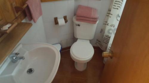 a bathroom with a white toilet and a sink at Hostal Costa Azul in Castro