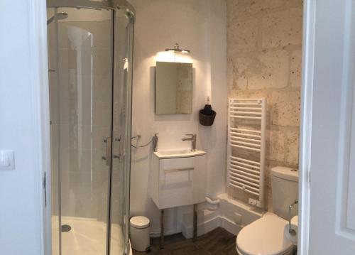y baño con ducha, lavabo y aseo. en La Maison Du Pont, en La Rochebeaucourt-et-Argentine
