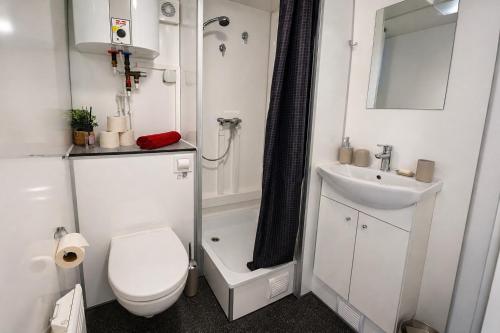 a small bathroom with a toilet and a sink at Weinschlafwagen Bautzen in Bautzen