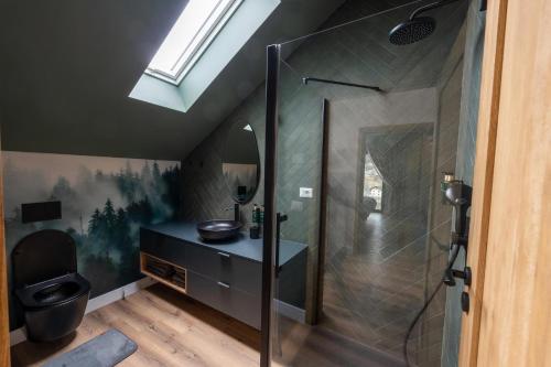 a bathroom with a shower with a sink and a toilet at Sadova Chalet in Sadova