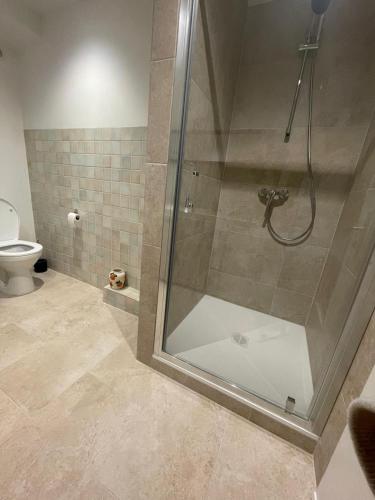 a shower stall in a bathroom with a toilet at Studio in Fayence