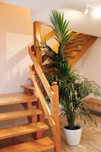 a wooden staircase with a plant in a room at Das Nomadenhaus - Garten, Grill, Nähe Köln in Bergheim