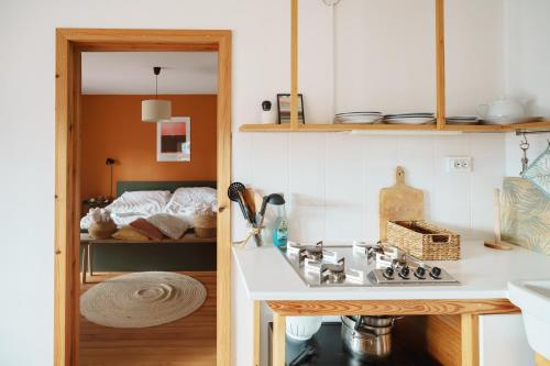 a kitchen with a sink and a bed in a room at Kmetija Pečnik in Prevalje