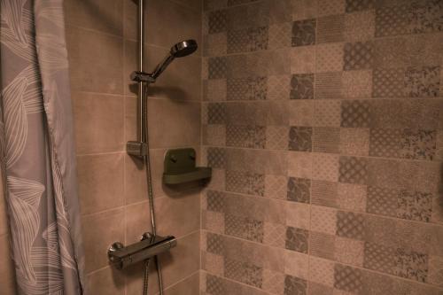 a shower with a shower head in a bathroom at Dunavirág Vendégház in Pilismarót