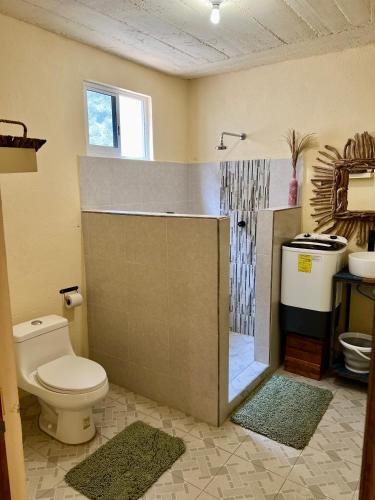 a bathroom with a shower with a toilet and a sink at Casa de vacaciones completa in Acapulco