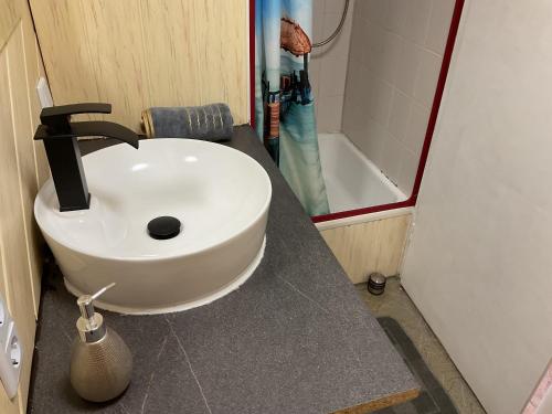 a bathroom with a white sink on a counter at Sierra Ferienwohnung in Marktbreit