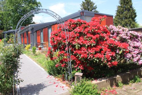 a garden with red flowers in front of a building at HOTEL SPATZENNEST Vogelsberg in Herbstein