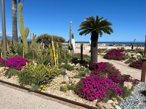 Authentic Old Antibes Duplex with Seaview Terrace
