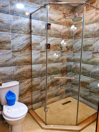 a shower stall with a toilet in a bathroom at Horus Pyramids Horizon INN in Cairo