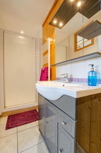 a bathroom with a sink and a shower at La cabriole des lacs in Briel-sur-Barse