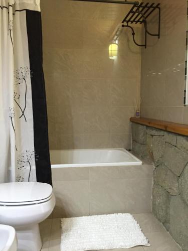 a bathroom with a tub and a toilet and a sink at Complejo Puelo Altos de Golondrinas in Golondrinas