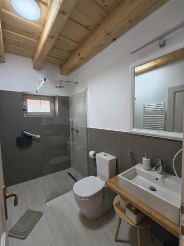 a bathroom with a toilet and a sink and a shower at Casa Via Viscri in Buneşti