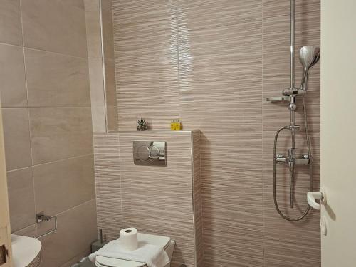 a bathroom with a shower with a toilet and a sink at Aegeon Pension in Aegiali