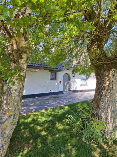 a house with a driveway and two trees at The Cosy Hill in Poperinge