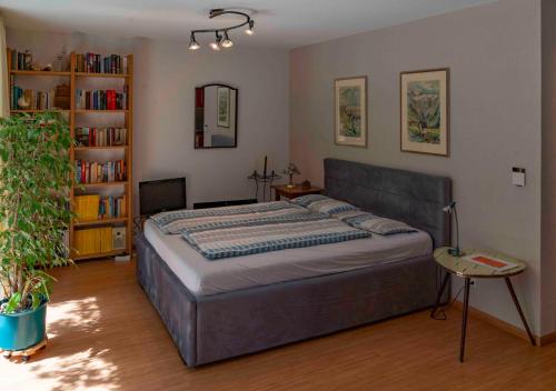 a bedroom with a large bed and a book shelf at Chez Pio in Murten