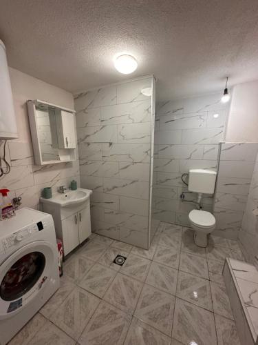 a bathroom with a washing machine and a toilet at Guest House GURI in Vusanje